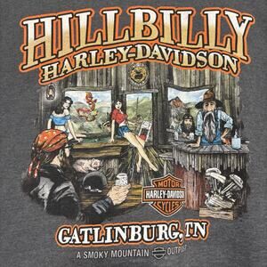Harley Davidson Motorcycles Gatlinburg TN Hillbilly 4XL Plus Shirt Grey